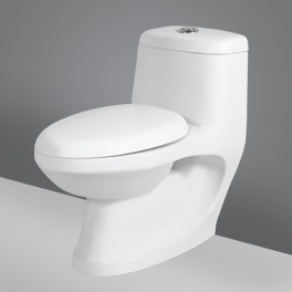 One Piece Toilet Ceramic One Piece Closet