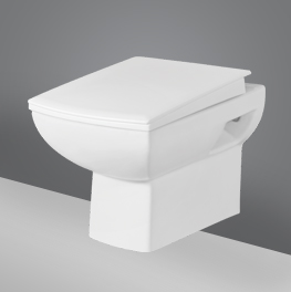 Wall Hung water closet